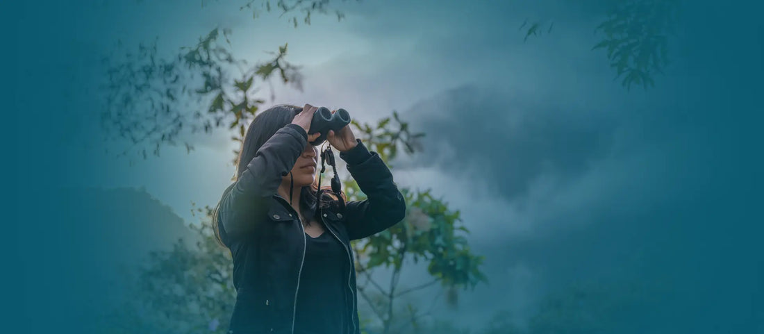 Birdwatching in Ecuador: A Small Country Full of Birds