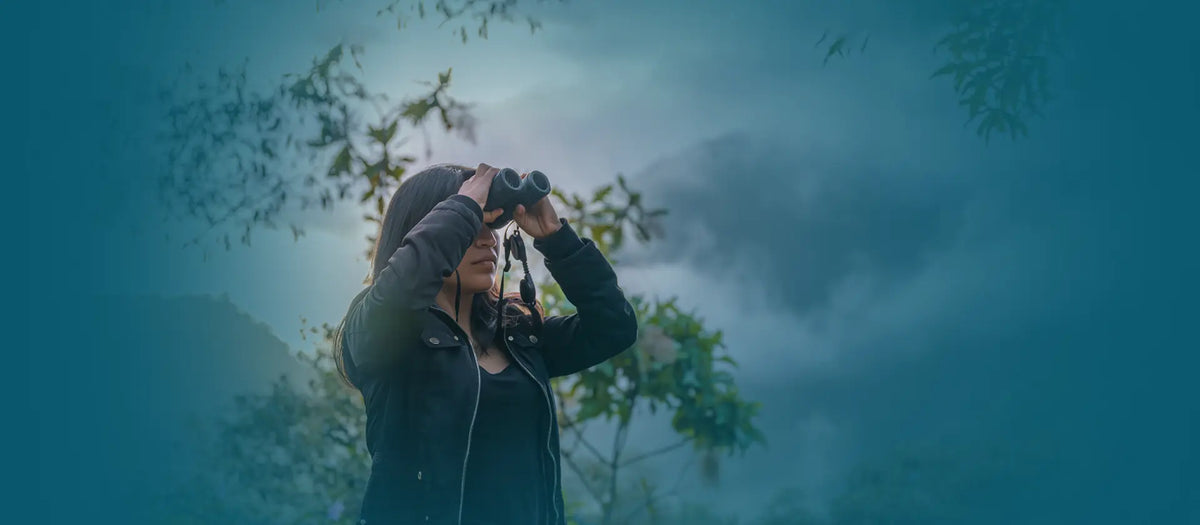 Birdwatching in Ecuador: A Small Country Full of Birds
