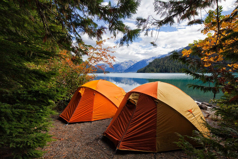 Camping Mug