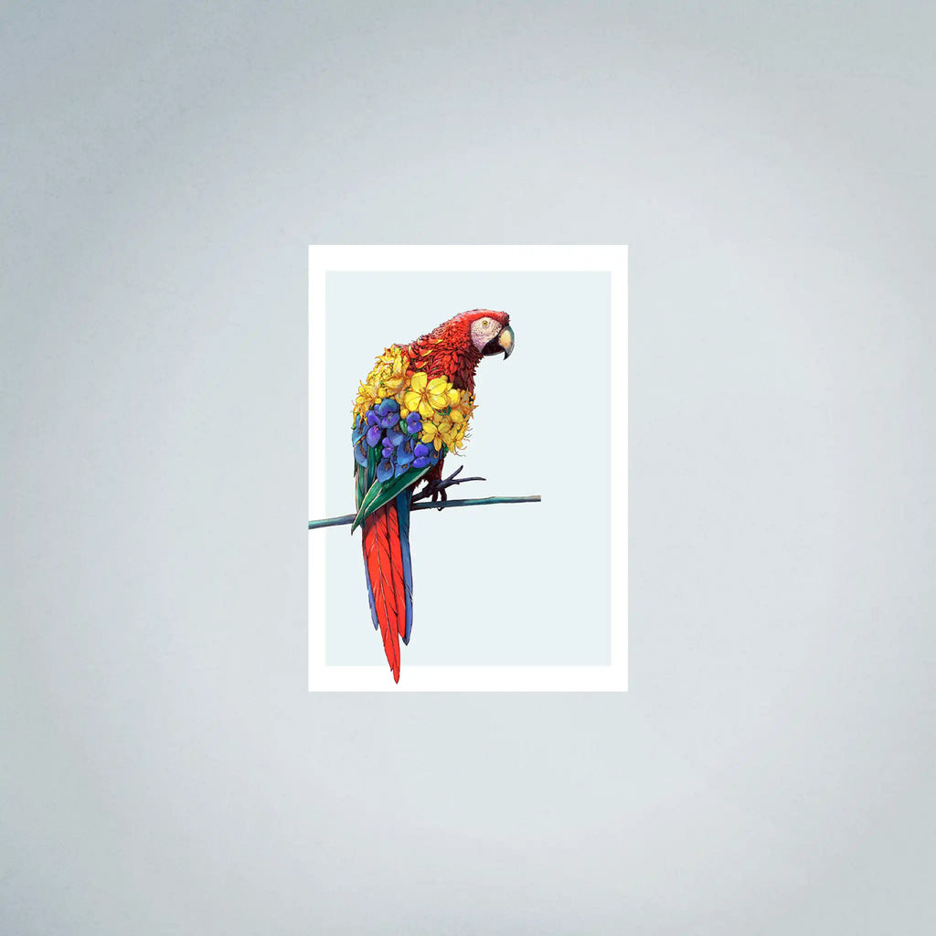 Scarlet Macaw Fine Art (45cmx63cm)