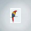 Scarlet Macaw Fine Art (45cmx63cm)