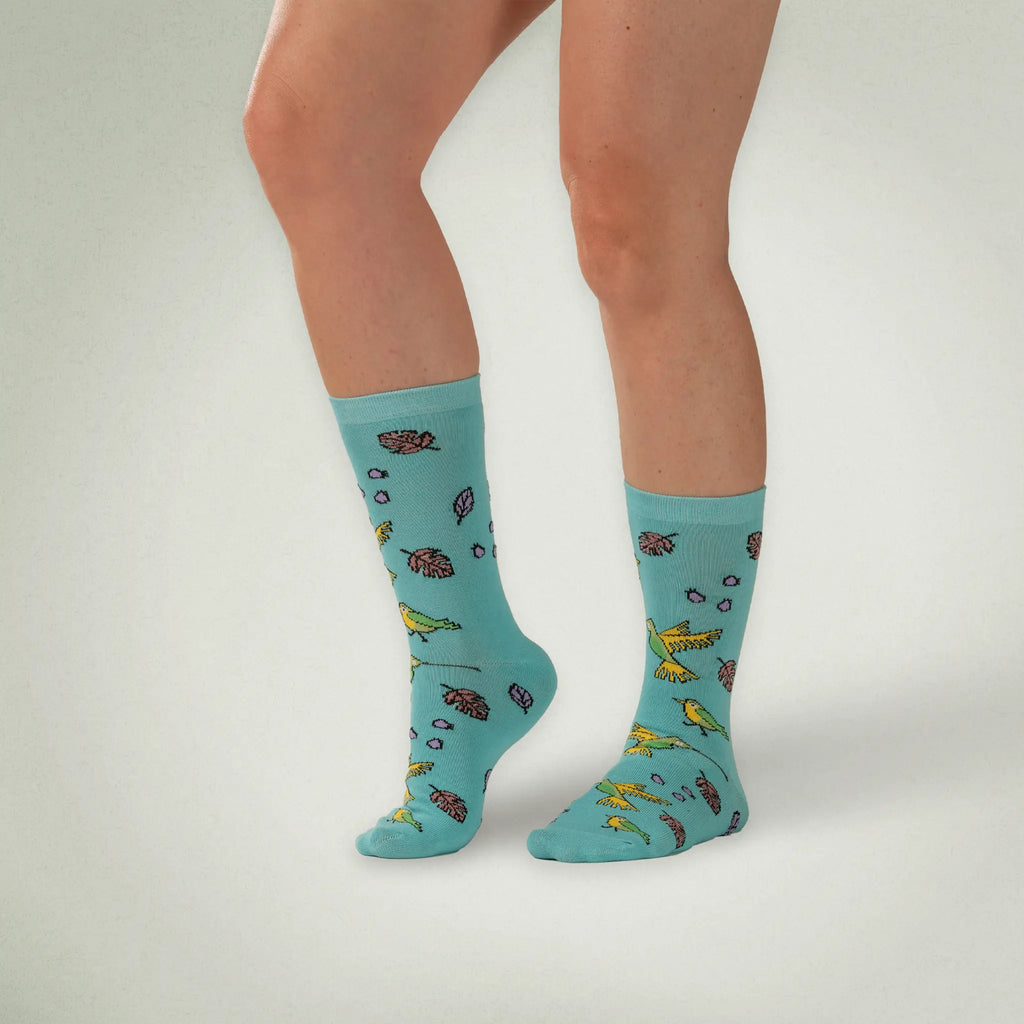 Hummingbird Socks