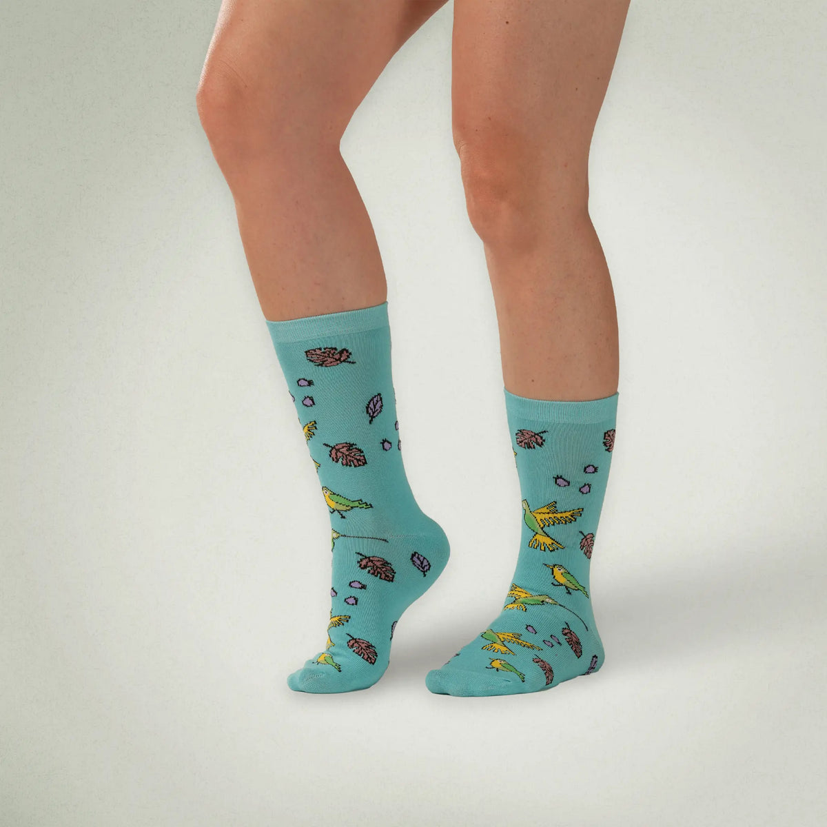 Hummingbird Socks