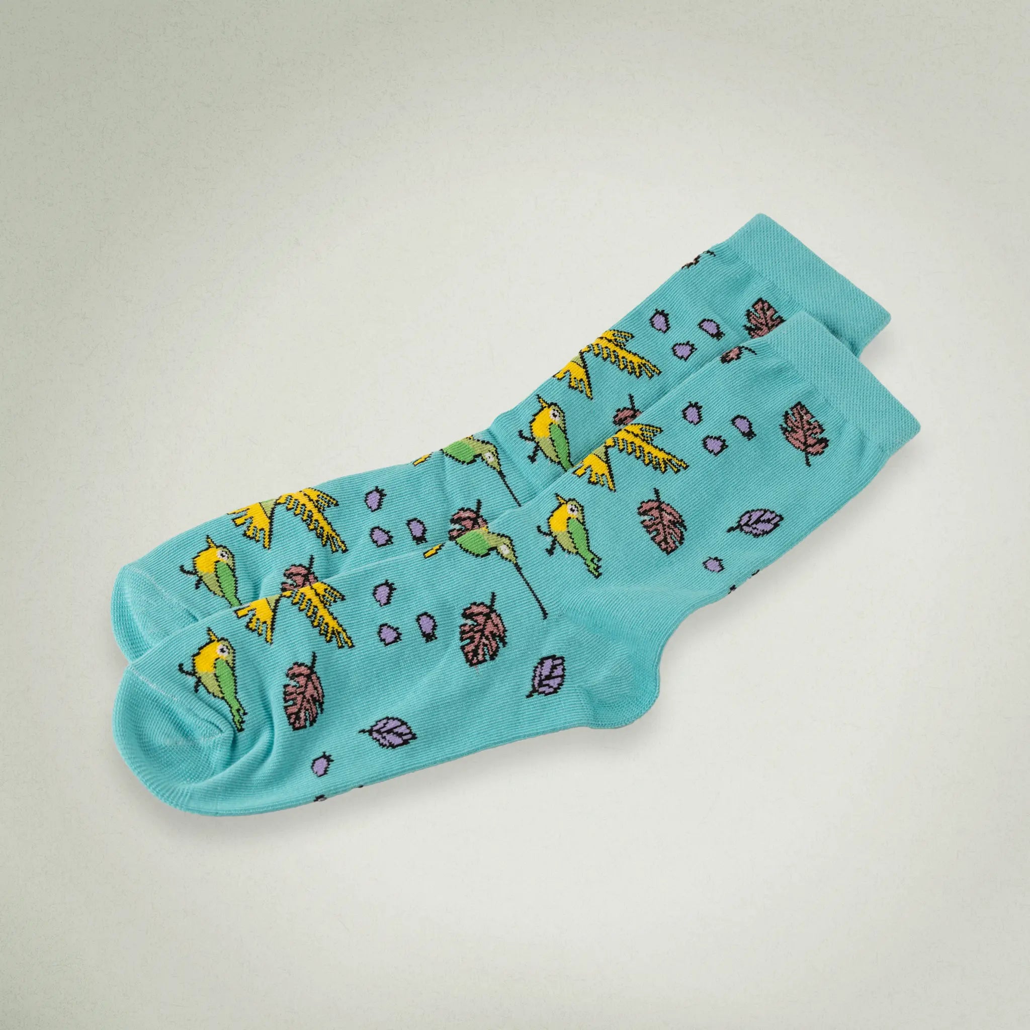Hummingbird Socks