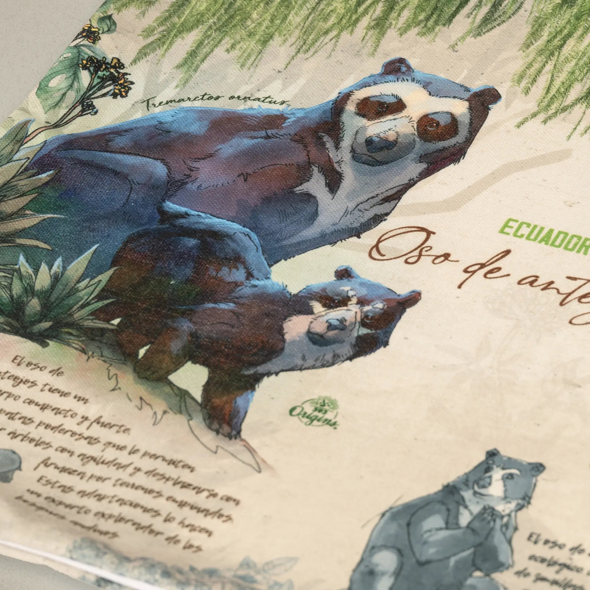 Cushion Cover Spectacled Bear