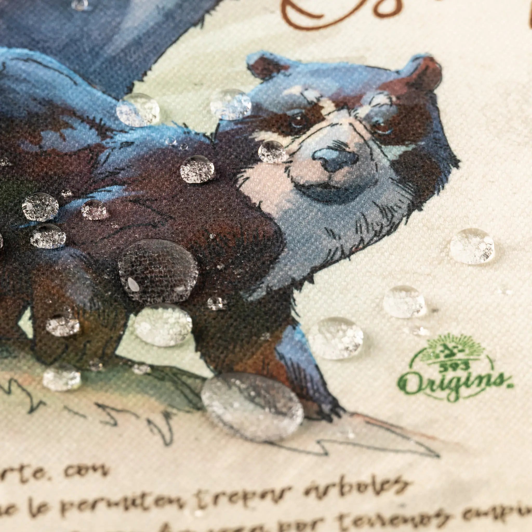 Cushion Cover Spectacled Bear