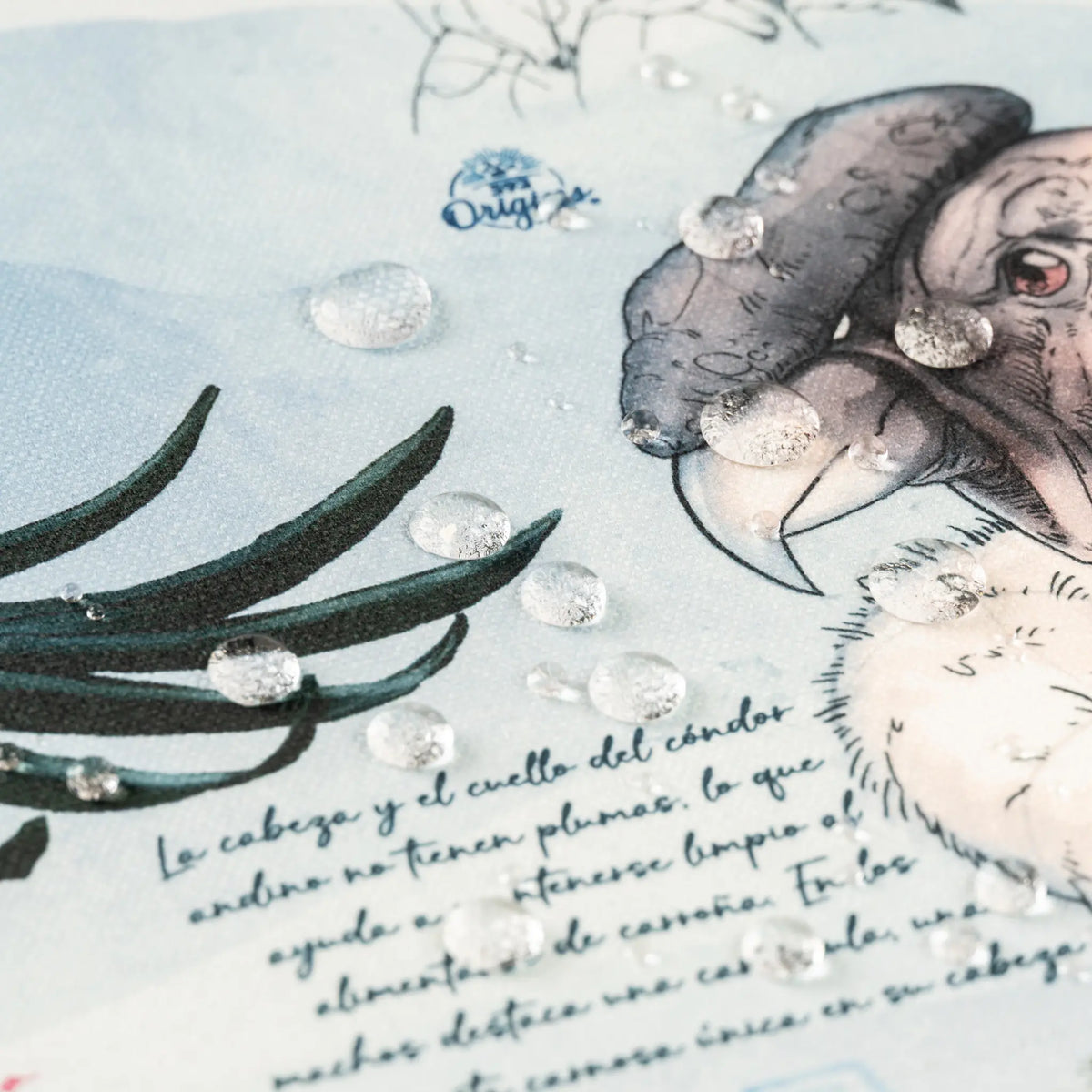 Placemats Andean Condor