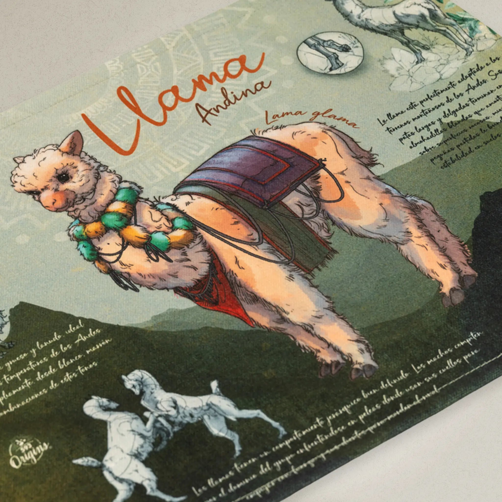 Placemats Andean Llama