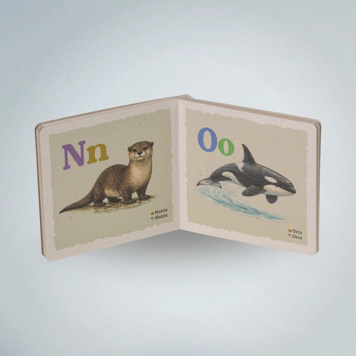 ABC de Especies ecuatorianas