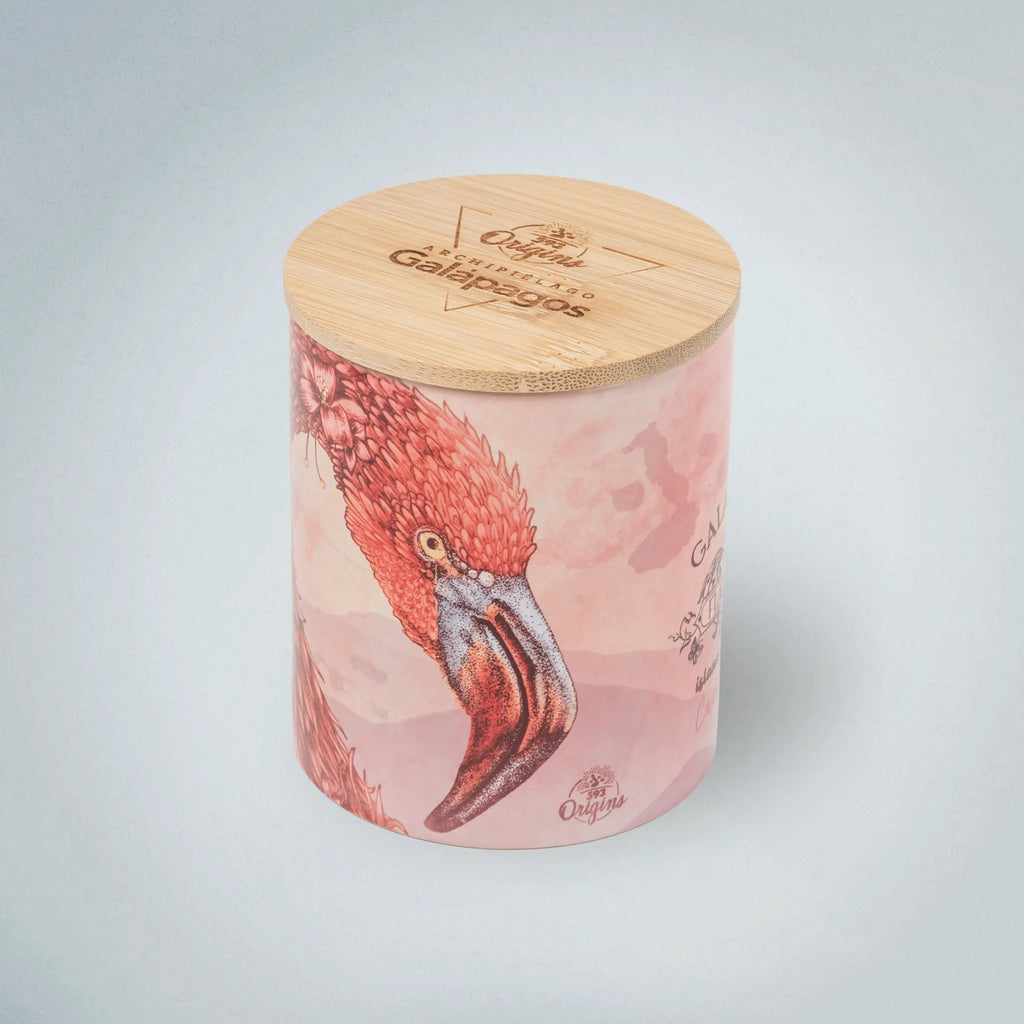 Candle Galapagos Flamingo