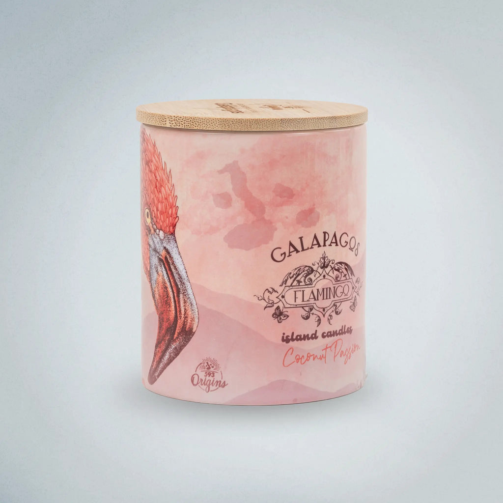 Candle Galapagos Flamingo
