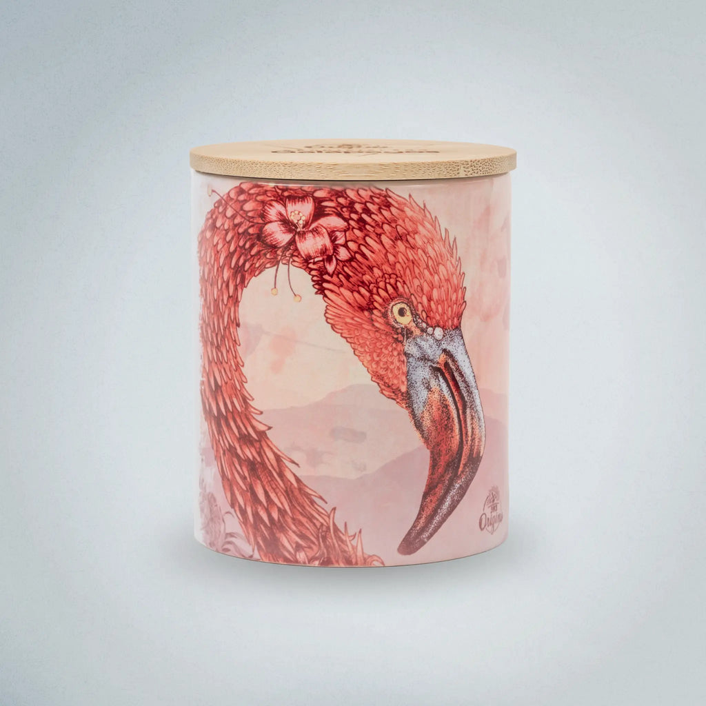Candle Galapagos Flamingo