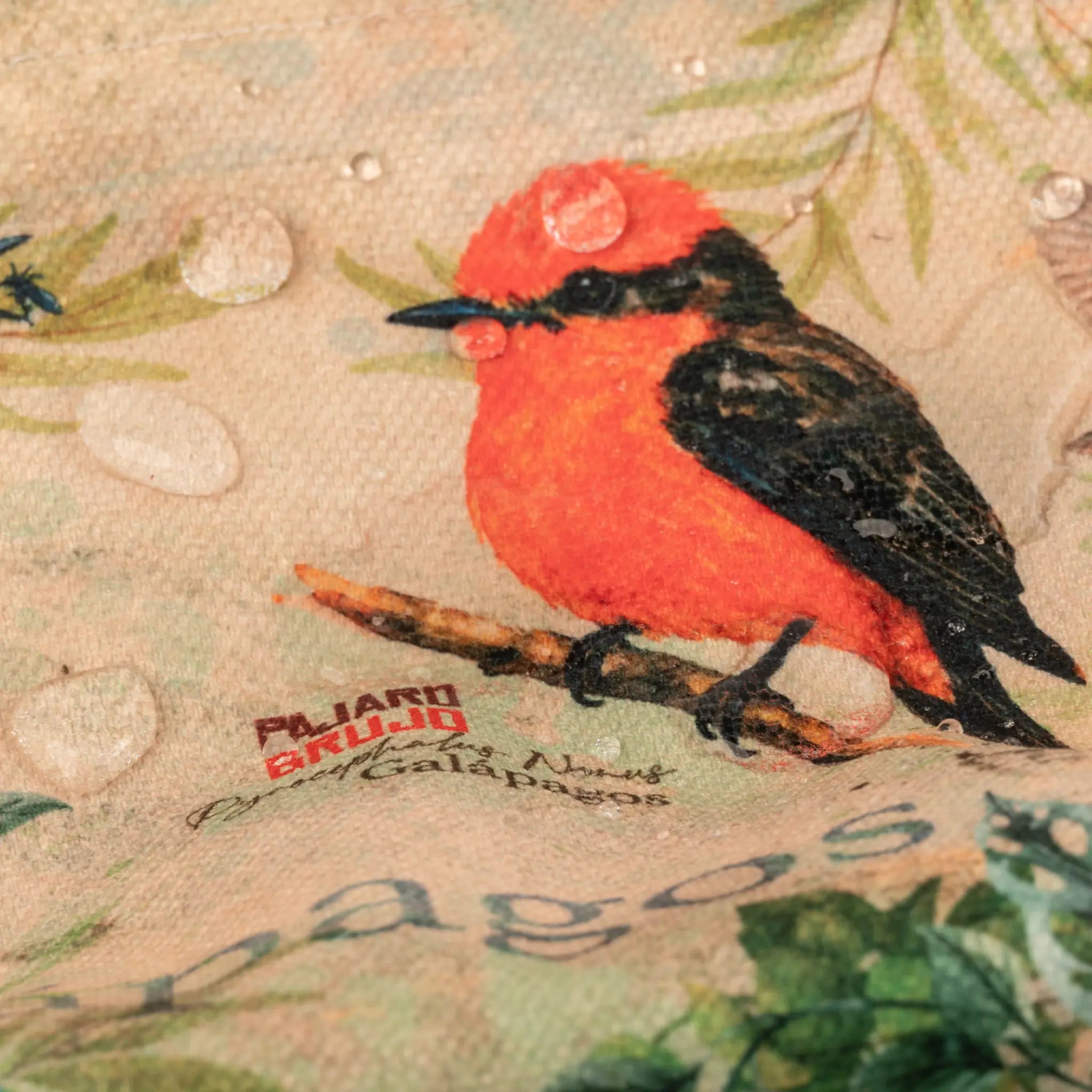 Cosmetic Bag Vermilion Flycatcher