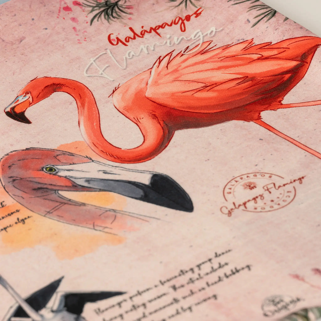 Cushion Cover Galapagos Flamingo