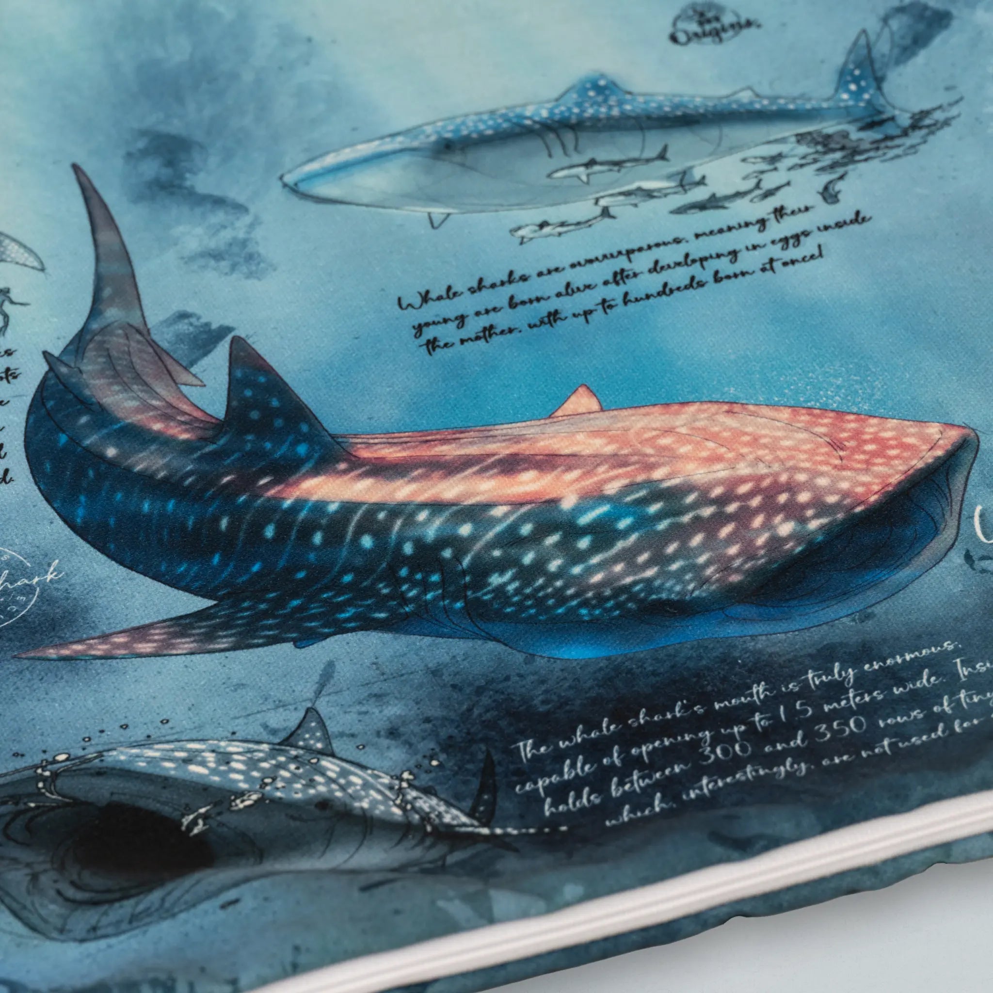 Cushion Cover Whale Shark