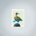 Blue-Footed Booby Fine art Print