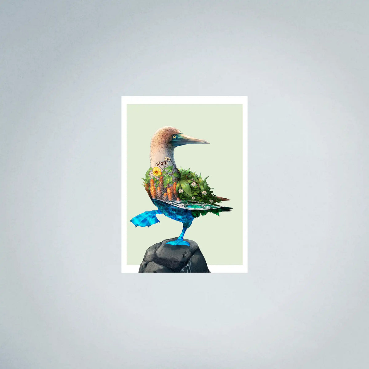 Blue-Footed Booby Family Fine Art (45cmx63cm)