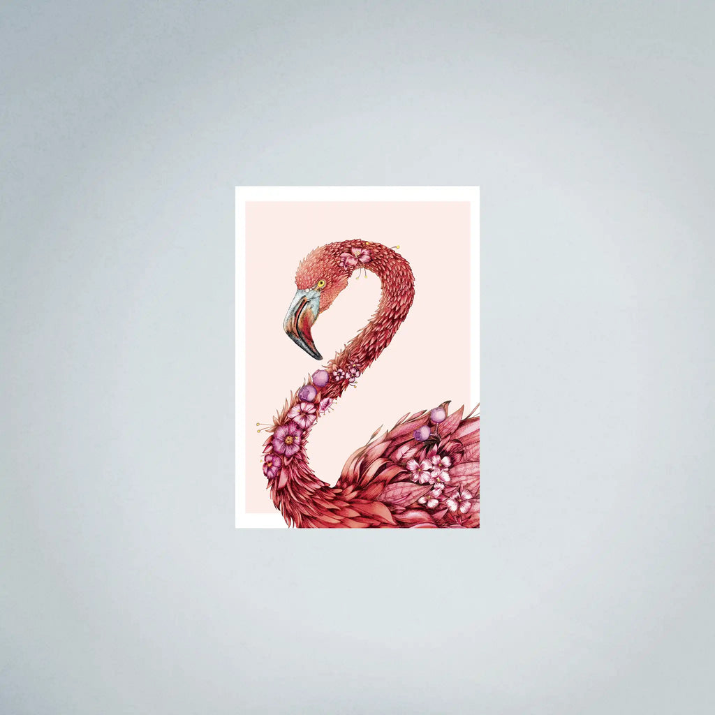 Galapagos Flamingo Fine Art (45cmx63cm)