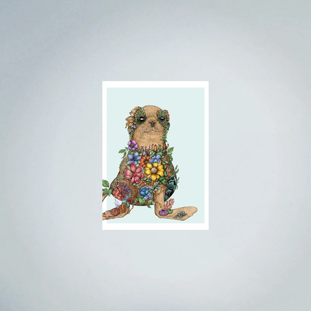Sea Lion Baby Fine Art (45cmx63cm)