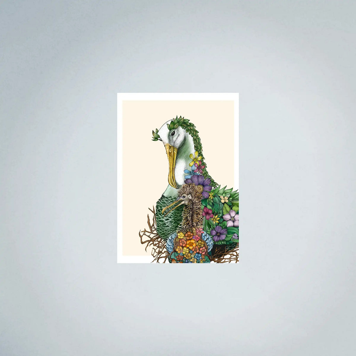 Waved Albatross Fine Art (45cmx63cm)