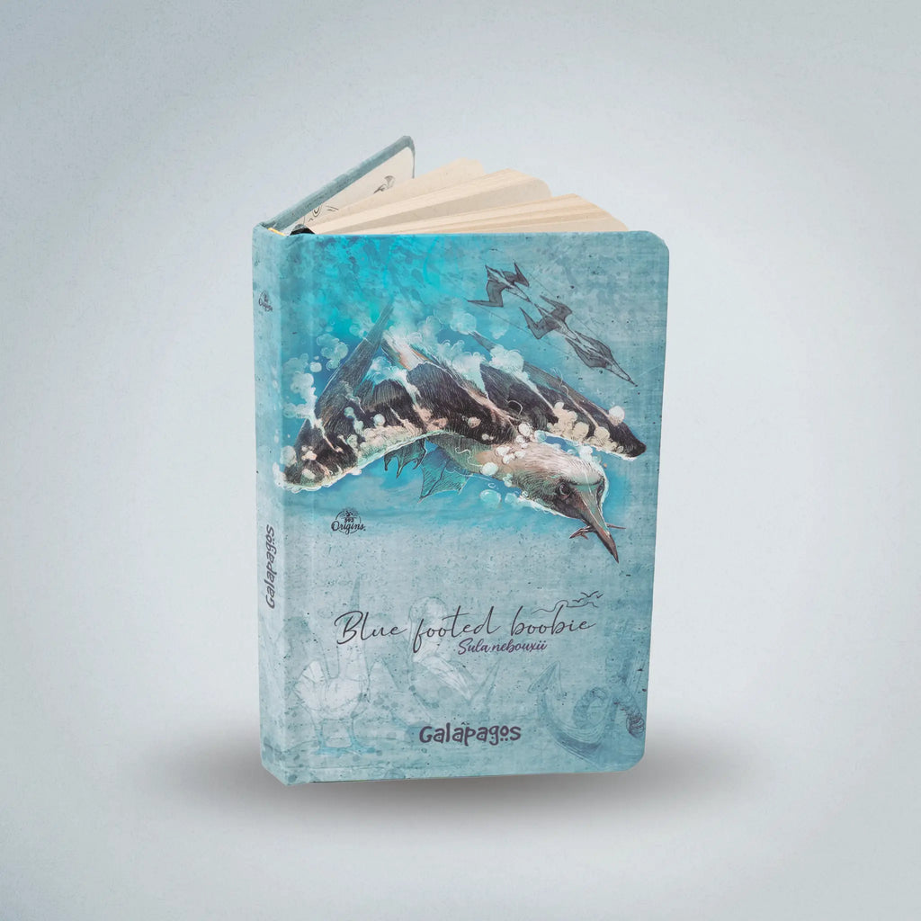 Journal Blue-Footed Booby Sketch