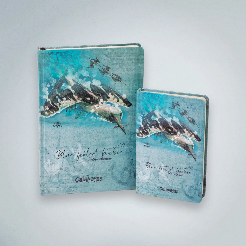 Journal Blue-Footed Booby Sketch
