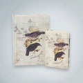 Journal Darwin Finches