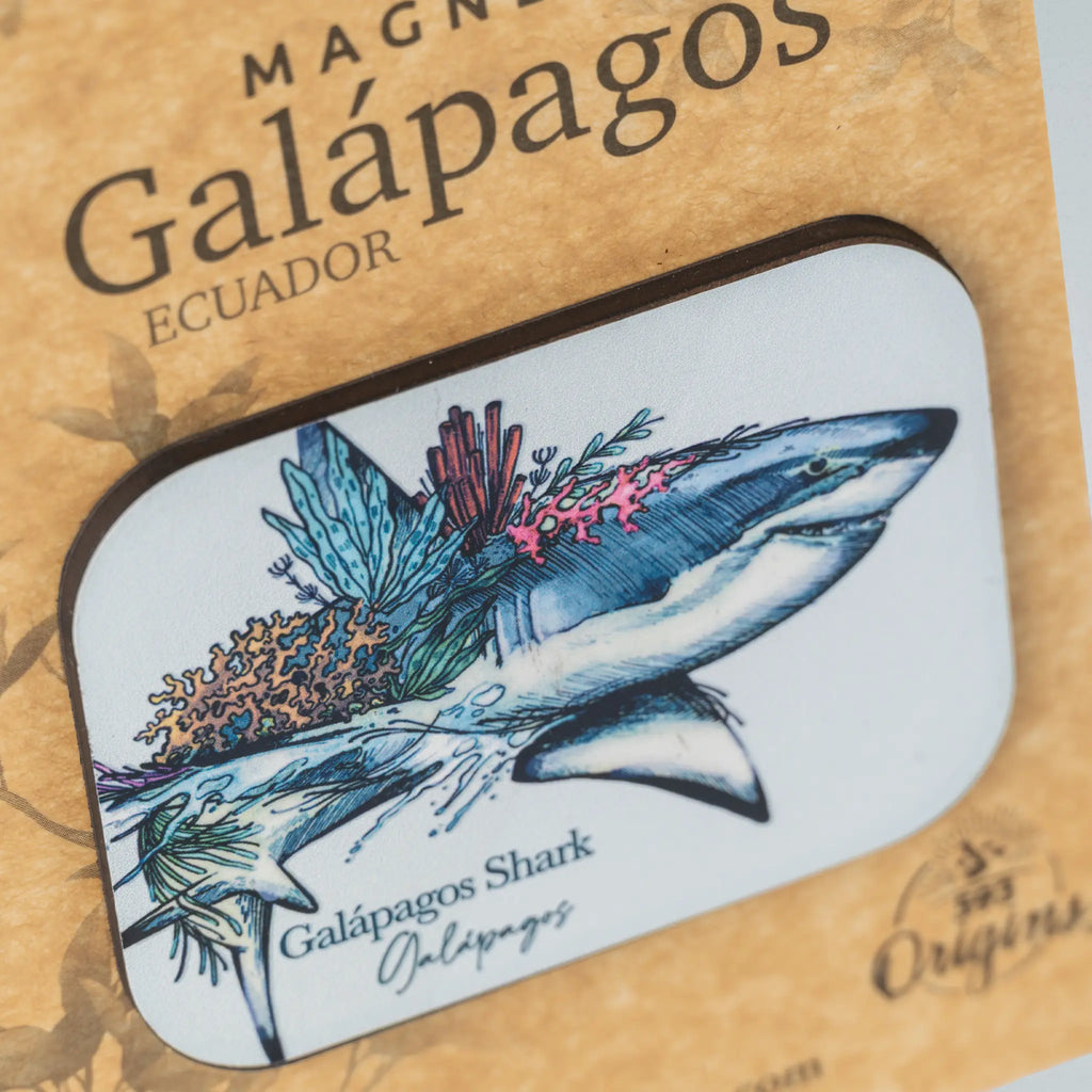 Magnet Galapagos Shark
