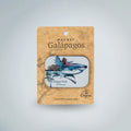 Magnet Galapagos Shark