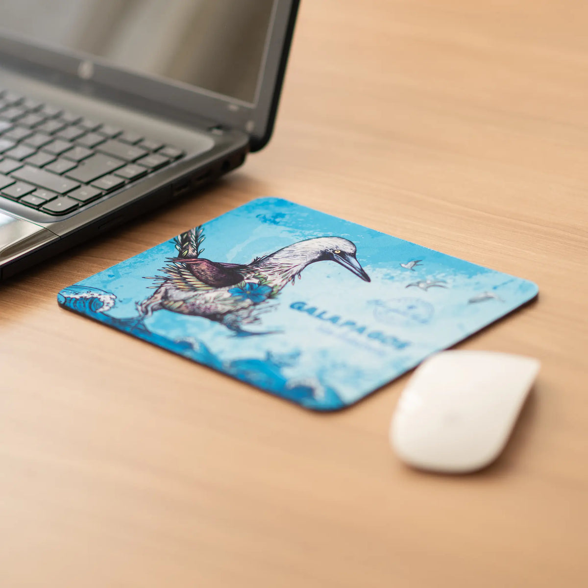 Blue-footed booby Mouse Pad