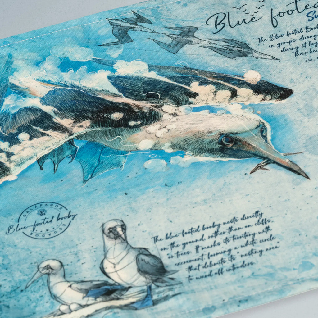 Placemats Blue-Footed Booby