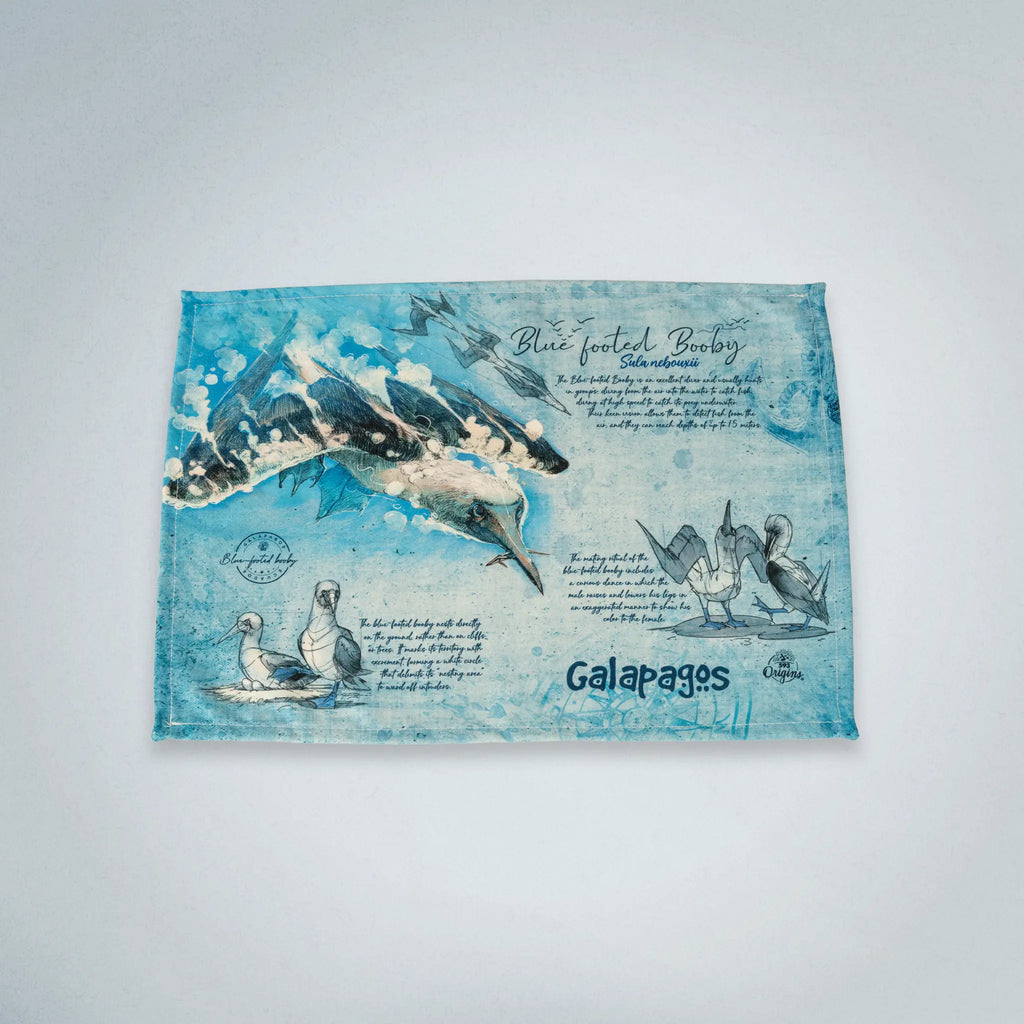 Placemats Blue-Footed Booby