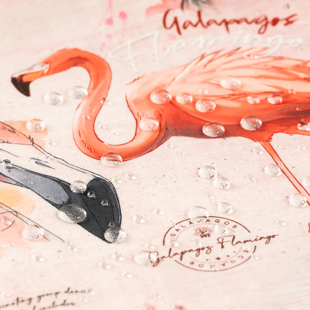 Placemats Galapagos Flamingo