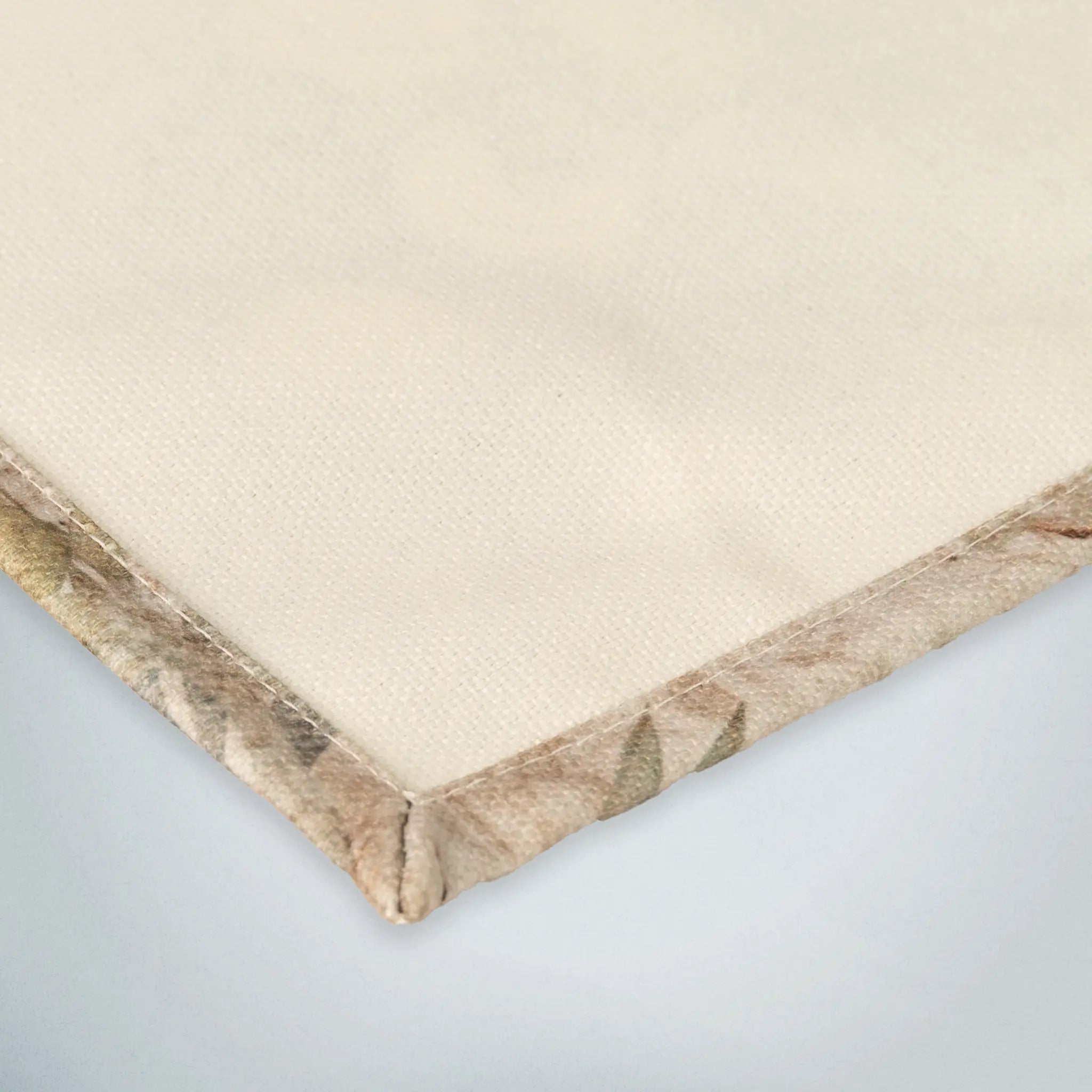 Placemats Giant Galapagos Tortoise