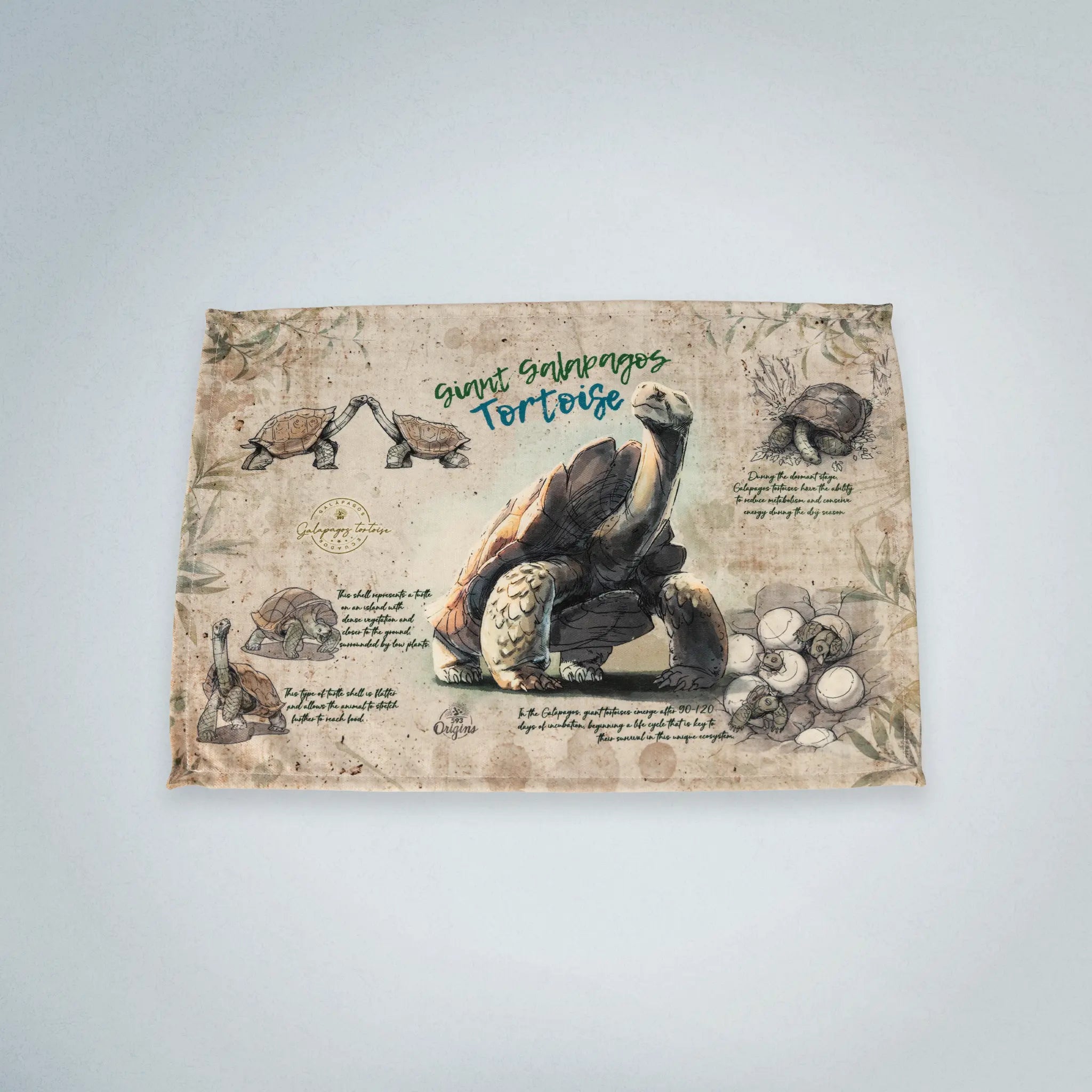 Placemats Giant Galapagos Tortoise