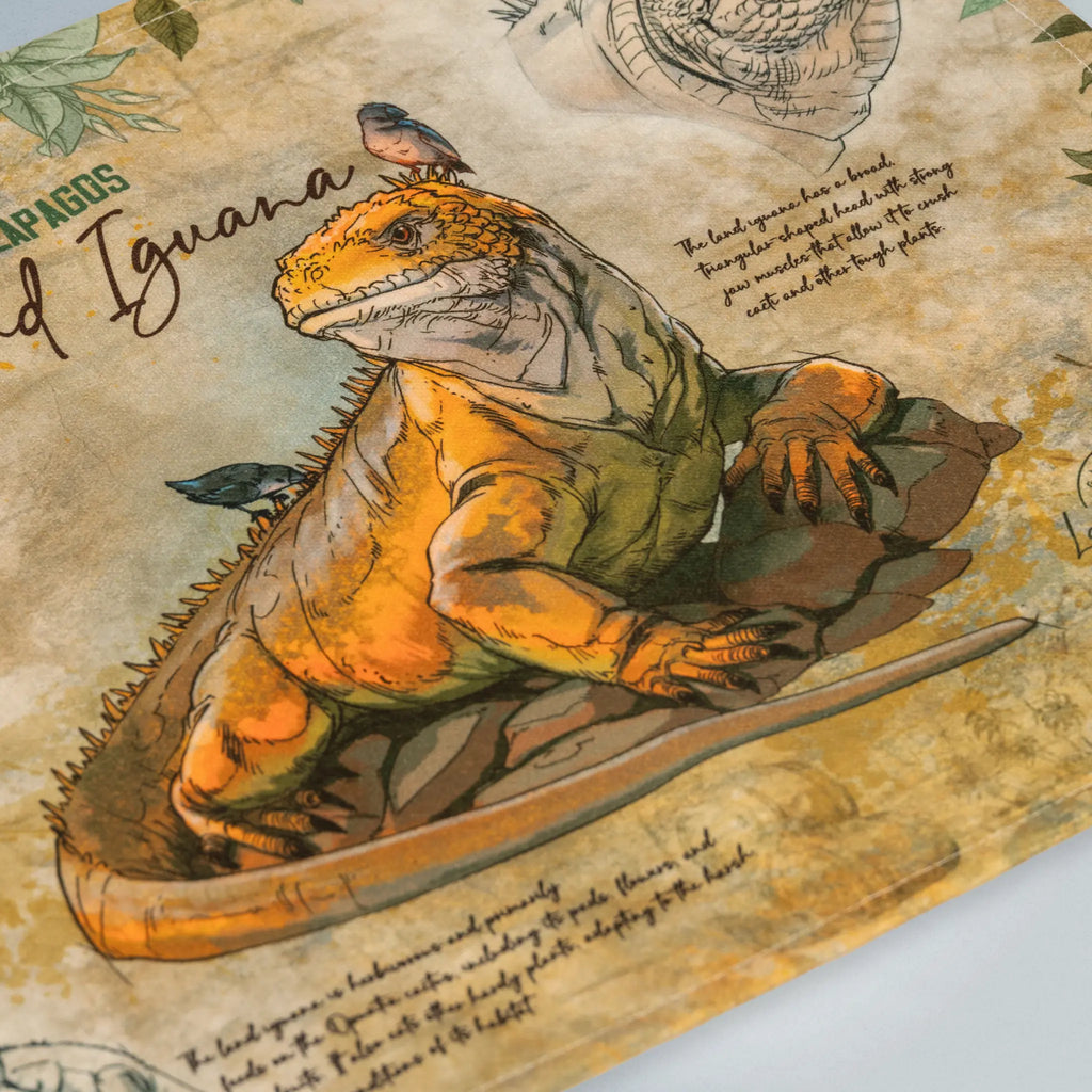 Individuales Iguana Terrestre de Galápagos