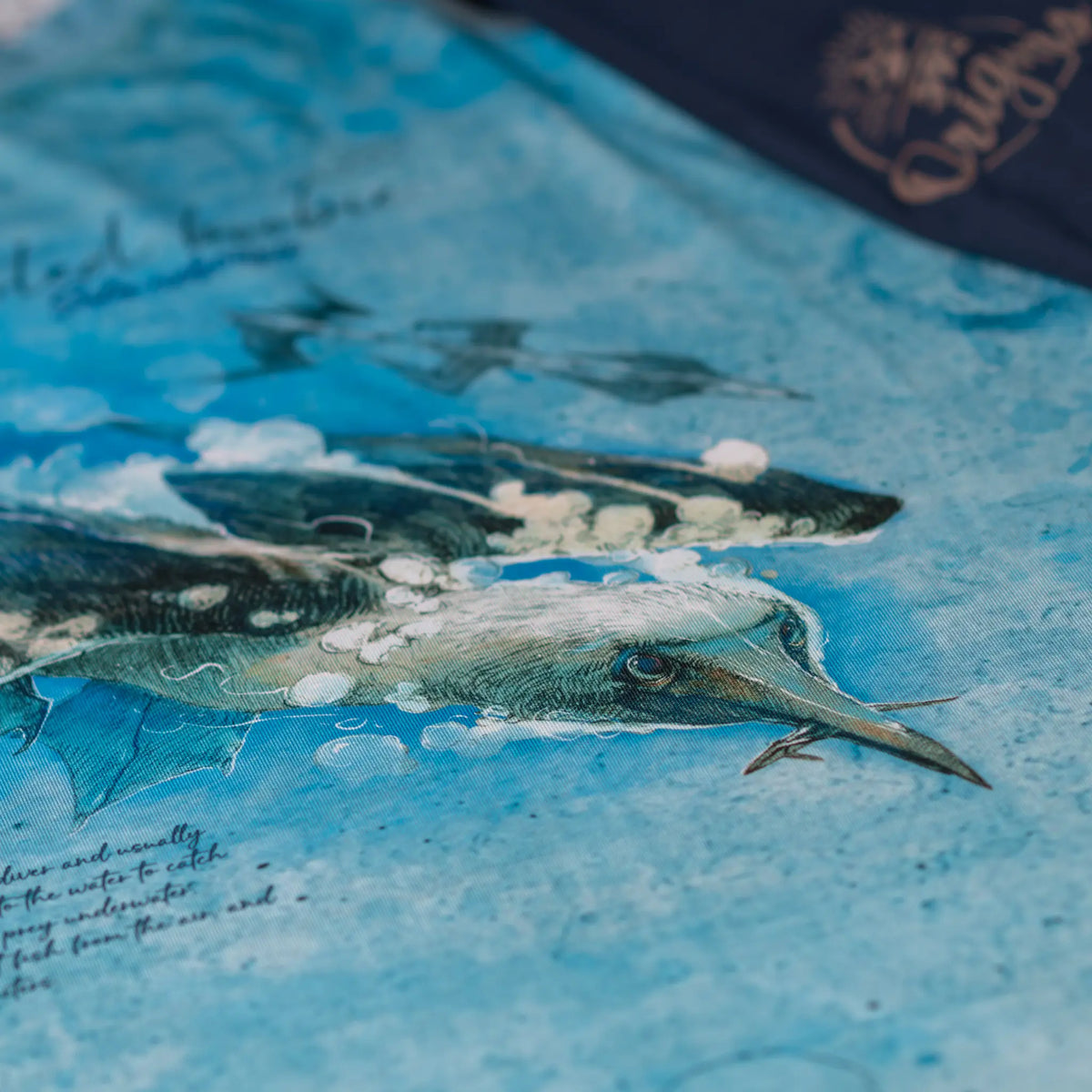 Blue-Footed Booby Rashguard