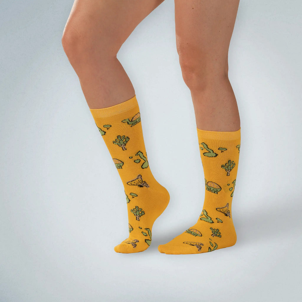 Baltra Island Socks