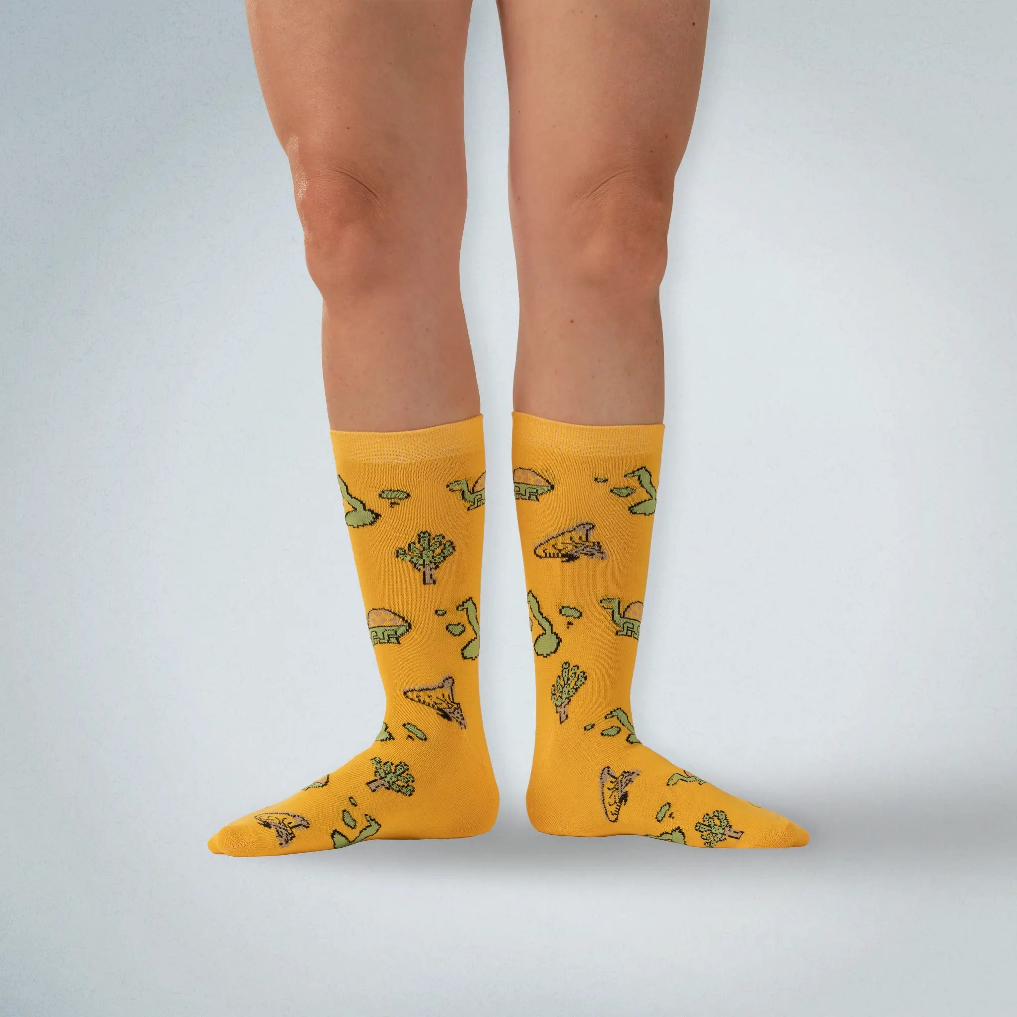 Baltra Island Socks