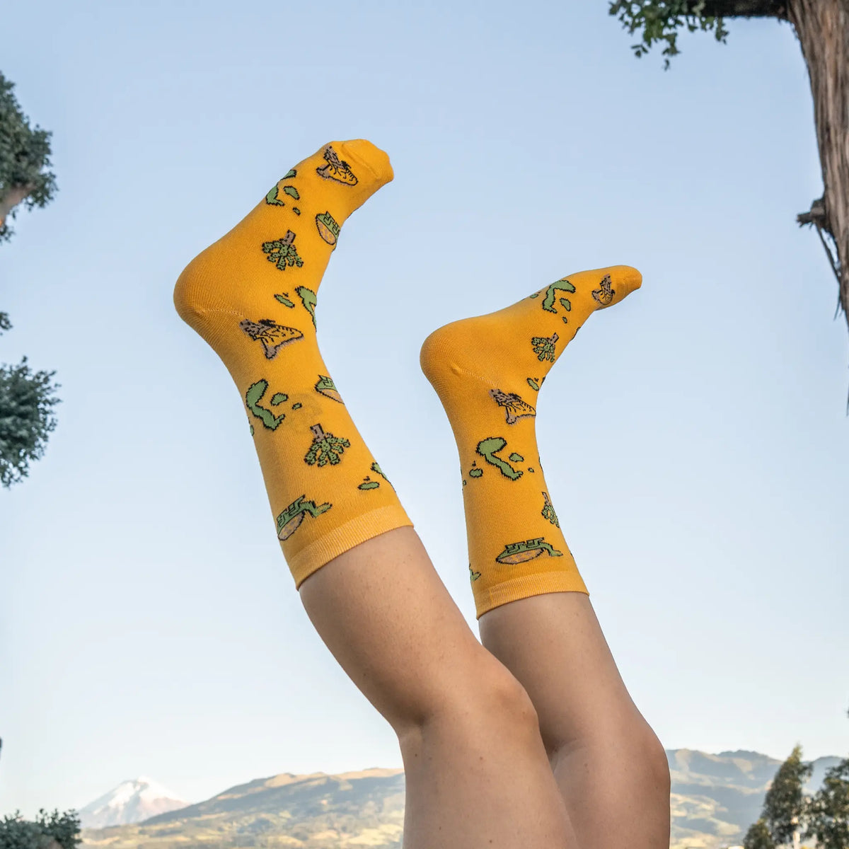 Baltra Island Socks