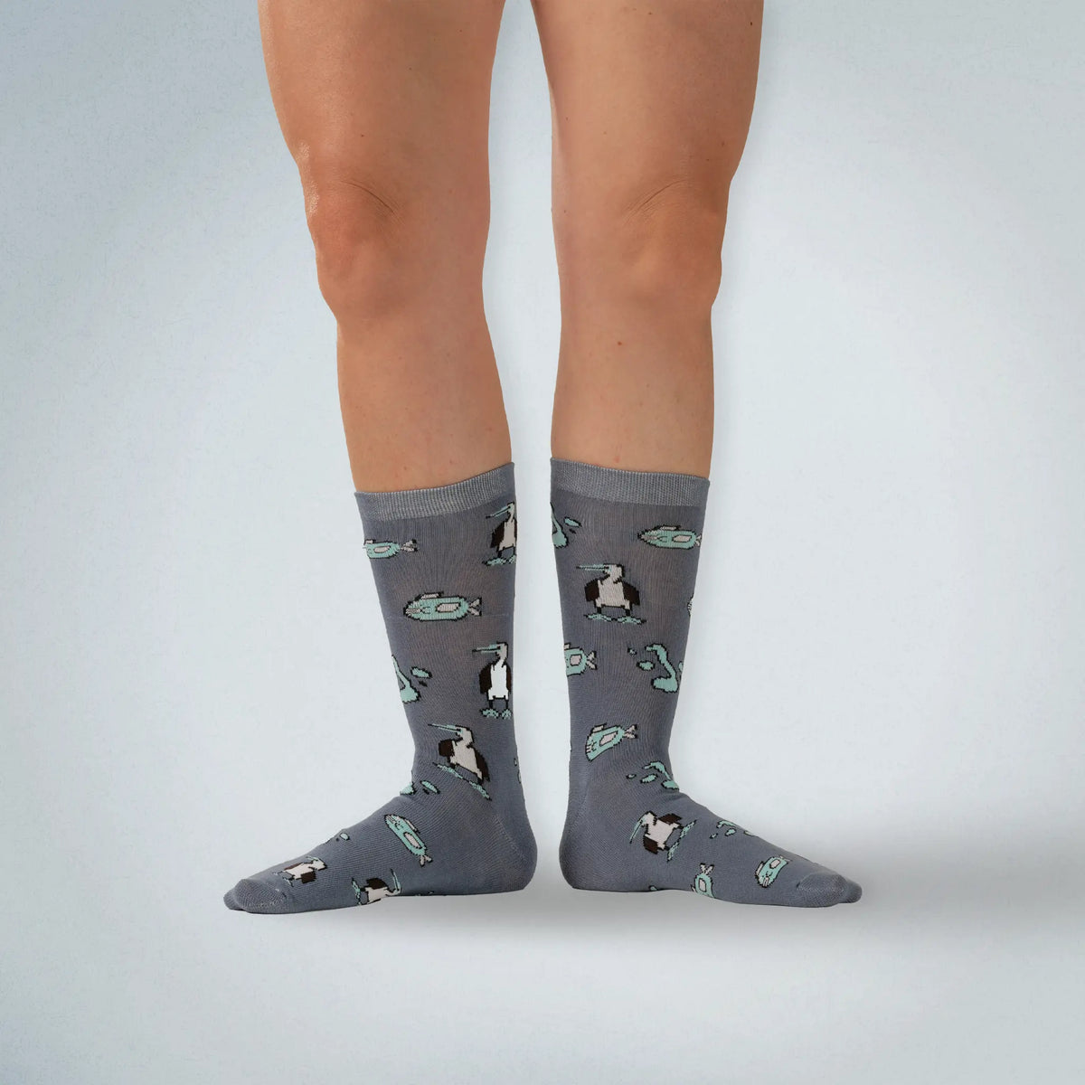 Blue-Footed Booby Socks
