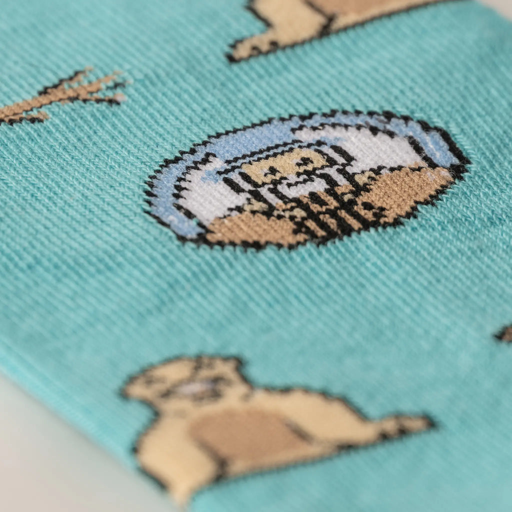 Charles Darwin Socks