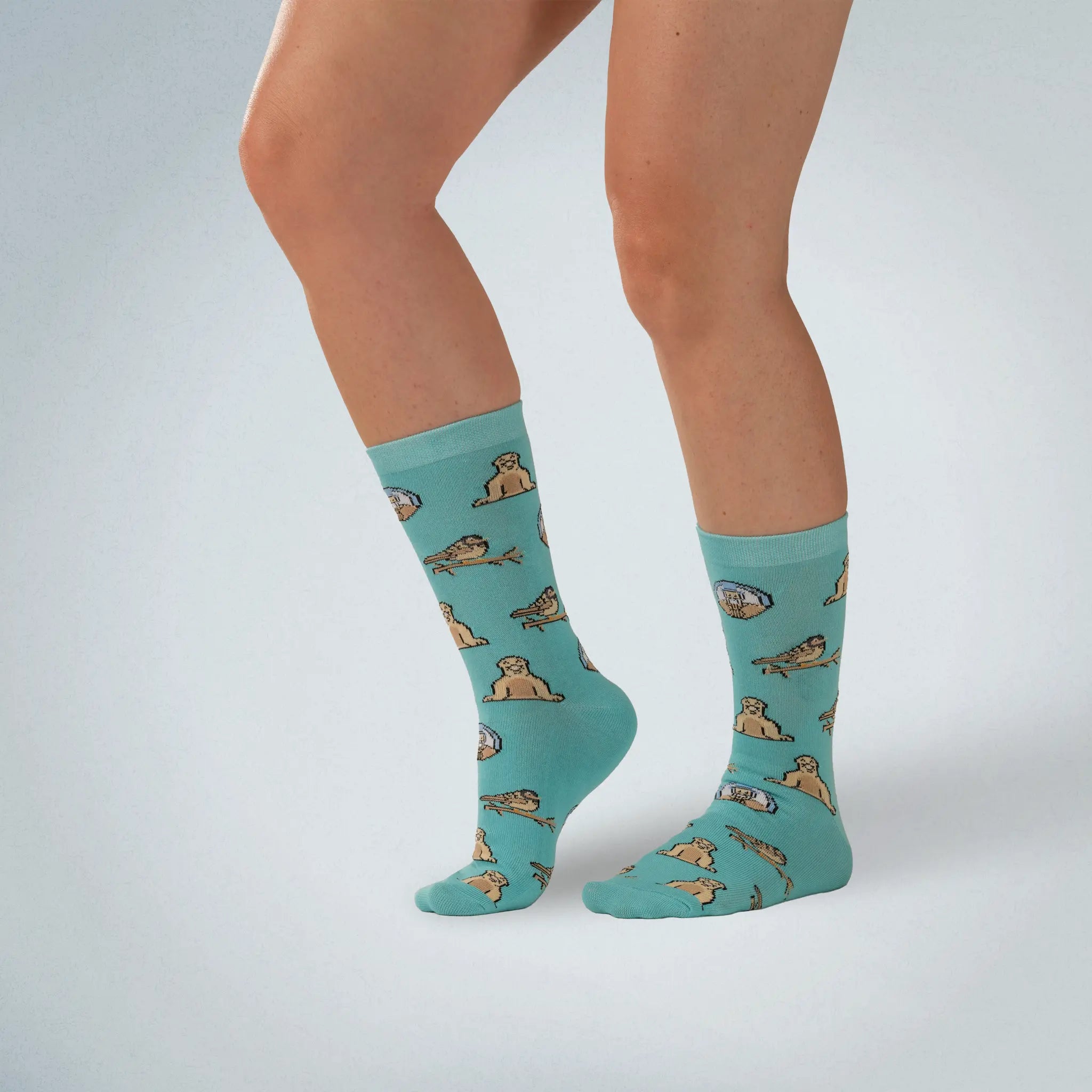 Charles Darwin Socks