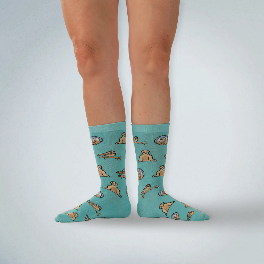 Charles Darwin Socks
