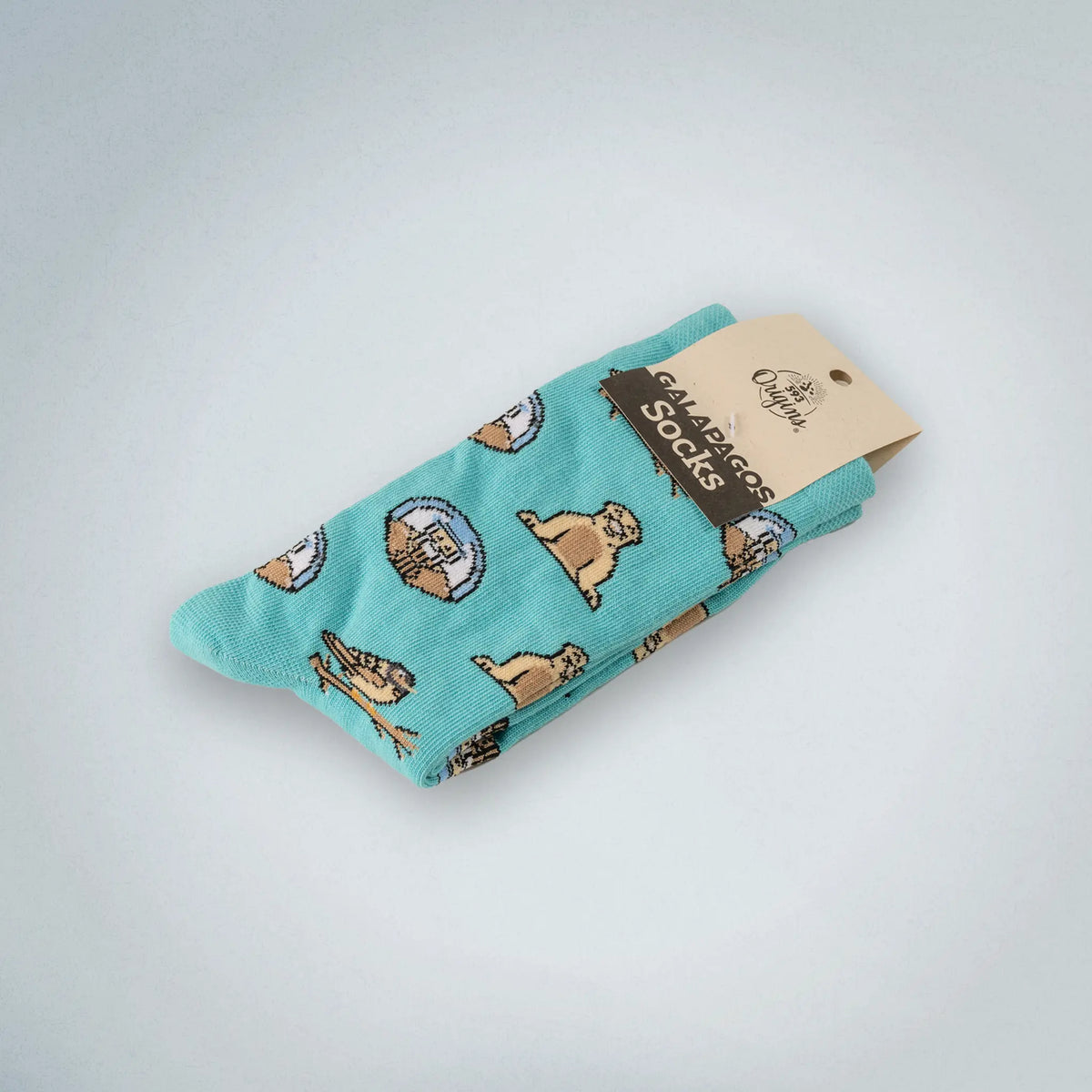 Charles Darwin Socks
