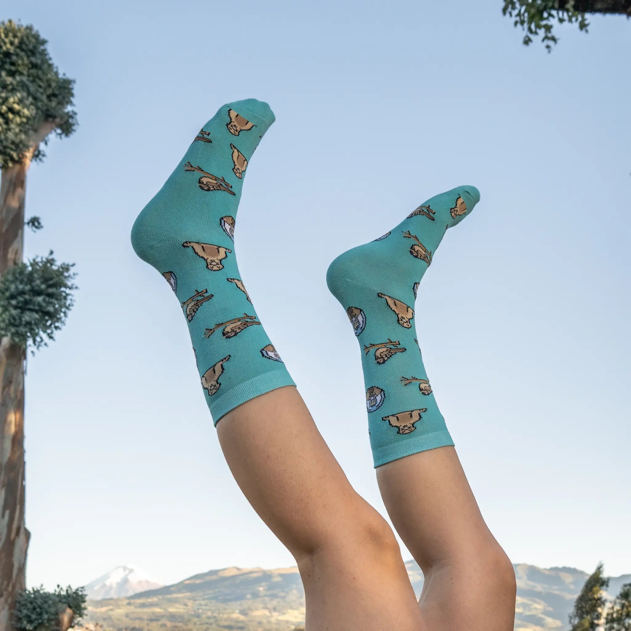Charles Darwin Socks