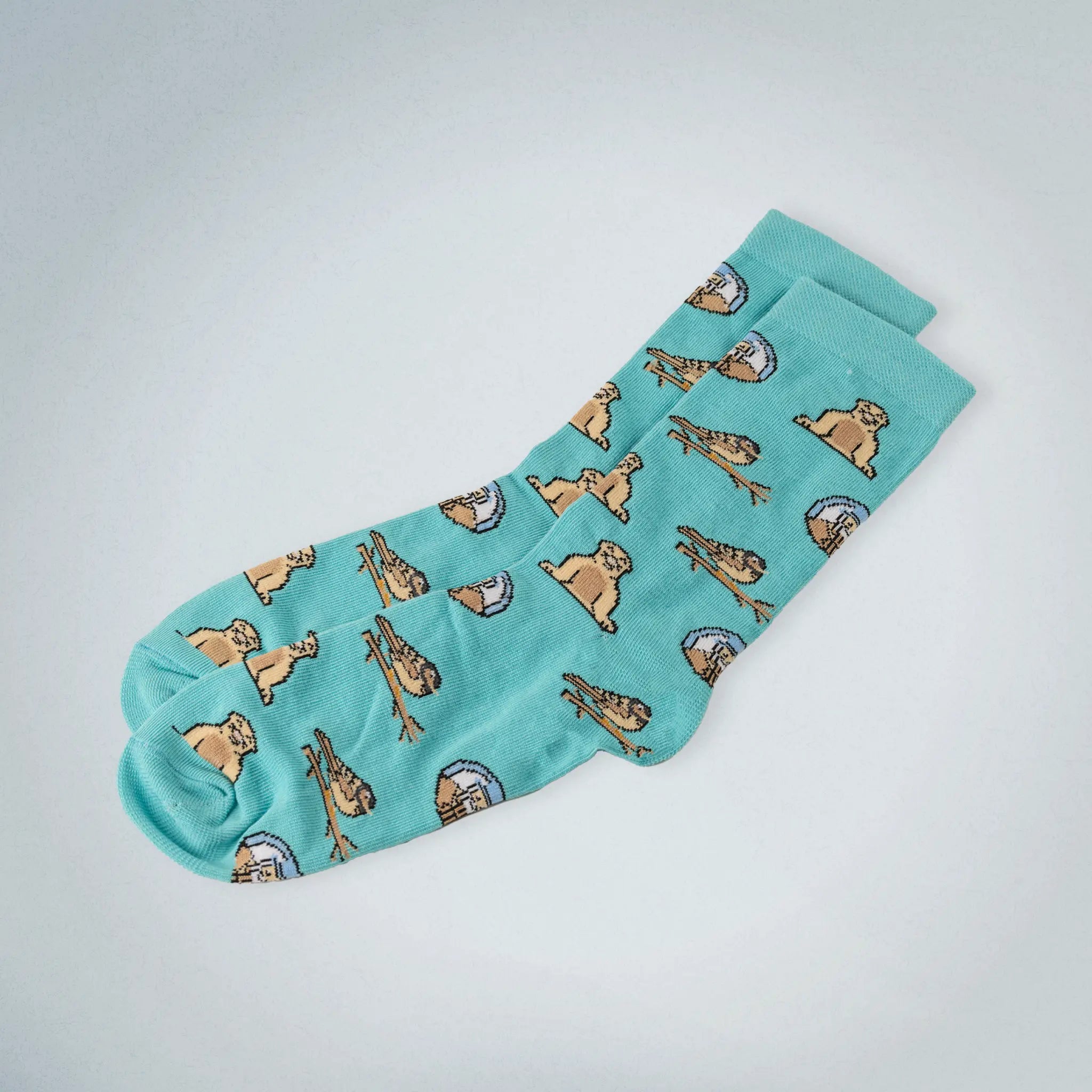 Charles Darwin Socks