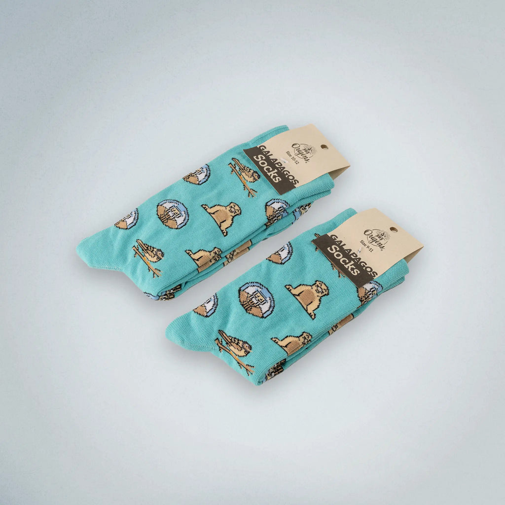 Charles Darwin Socks