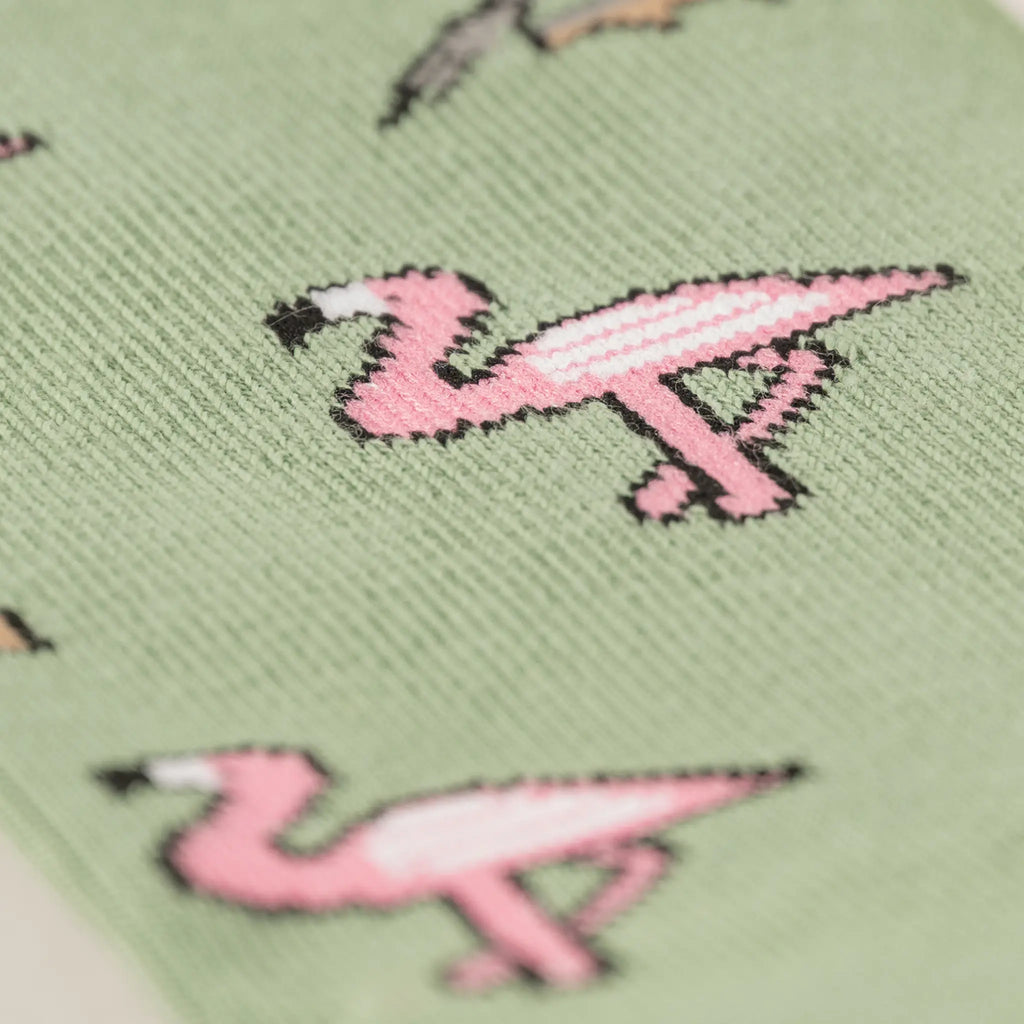 Galapagos bird socks