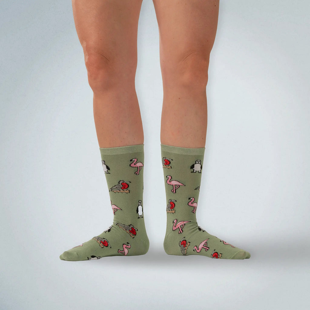 Galapagos bird socks